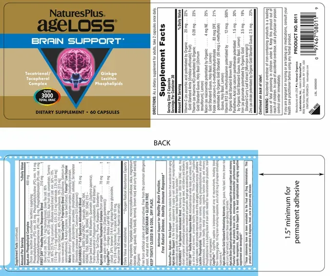 AgeLoss Brain Support - 60 Capsules - Image 4